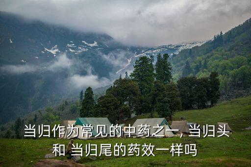 當歸身,當歸的功效與作用:補血活血調經止痛