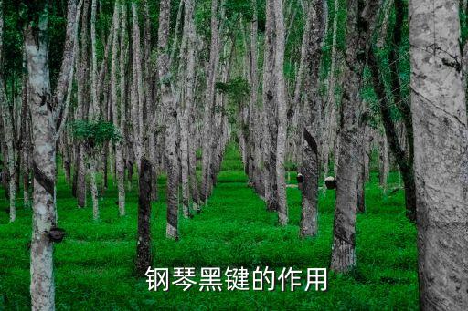 鋼琴黑,鋼琴鍵盤黑鍵交替演奏旋律變化