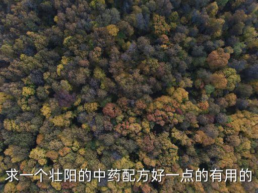 特效壯陽中藥配方，補腎壯陽中藥方
