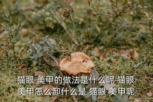  貓眼 美甲的做法是什么呢 貓眼 美甲怎么卸什么是 貓眼 美甲呢