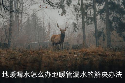 地暖漏水，地暖管漏水怎么處理