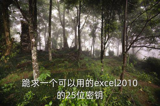 excel密鑰，跪求一個可以用的excel2010的25位密鑰