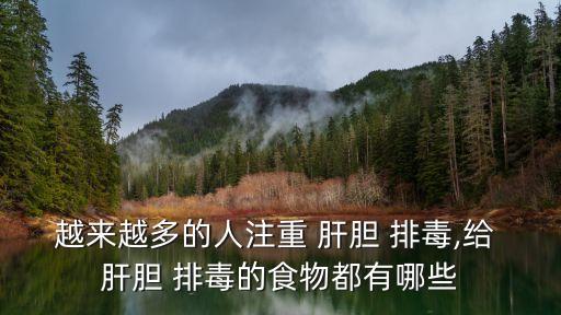 肝膽排毒,第九屆全國代表大會:先排毒再進行肝膽腸