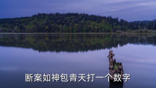 斷案如神包青天打一個數字