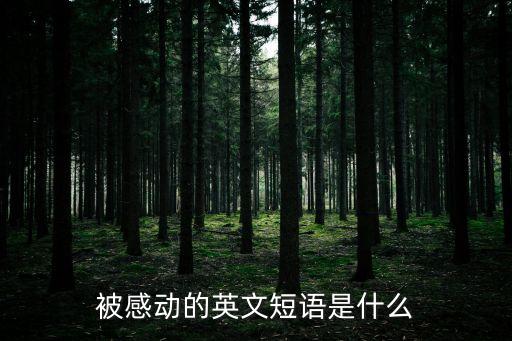 感人的英文，被感動的英文短語是什么