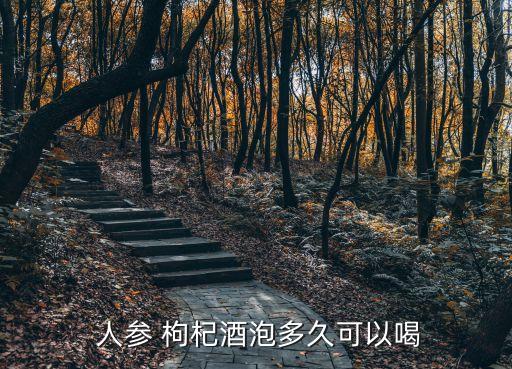  人參 枸杞酒泡多久可以喝