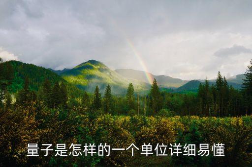 量子是怎樣的一個單位詳細易懂
