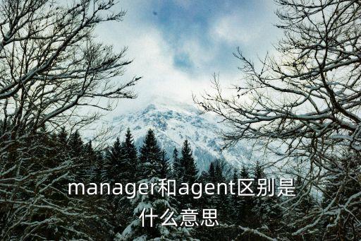 manager是什么意思,職場風云:政治人物