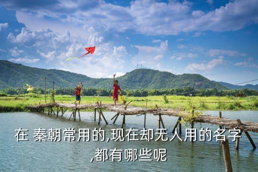 秦朝的美好生活,桃花源里的秦朝皇帝