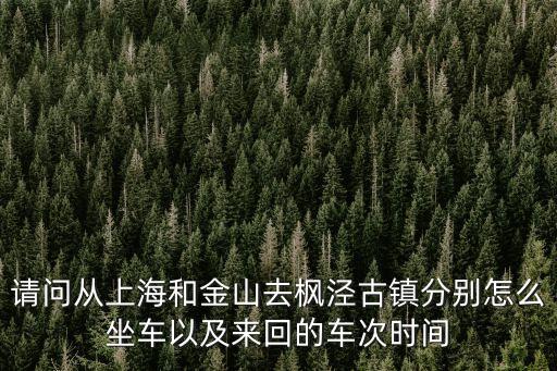 請問從上海和金山去楓涇古鎮(zhèn)分別怎么坐車以及來回的車次時間
