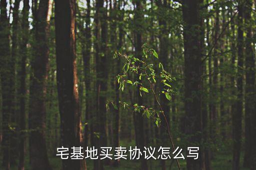 宅基地買賣協議怎么寫
