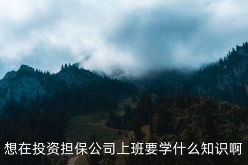 想在投資擔保公司上班要學什么知識啊