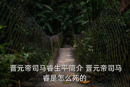 晉元帝,晉元帝司馬衷之子司馬昭之孫司馬周之孫