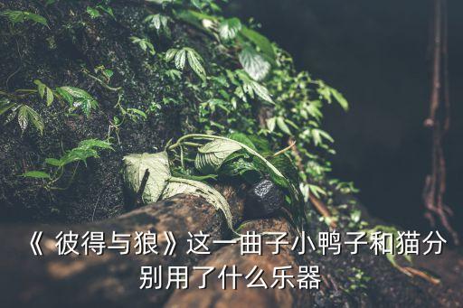 彼得和狼,狼來了!小男孩與狼斗智斗勇終被捕獲