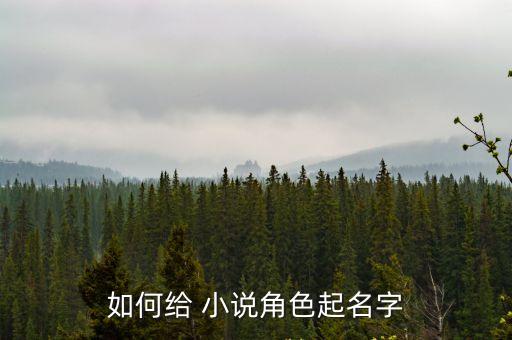 小說取名,我和你一樣希望被尊重
