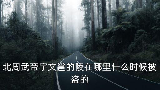 北周武帝宇文邕的陵在哪里什么時候被盜的