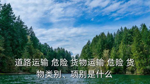 道路運輸 危險 貨物運輸 危險 貨物類別、項別是什么