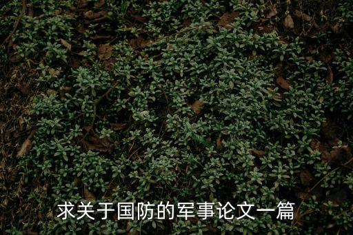 求關于國防的軍事論文一篇