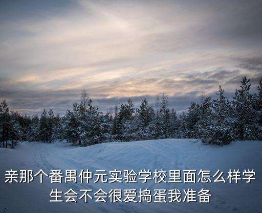 親那個番禺仲元實驗學校里面怎么樣學生會不會很愛搗蛋我準備