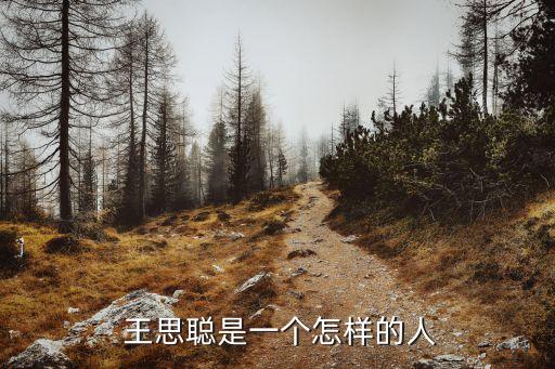 王思聰是誰,王思聰是王健林兒子?