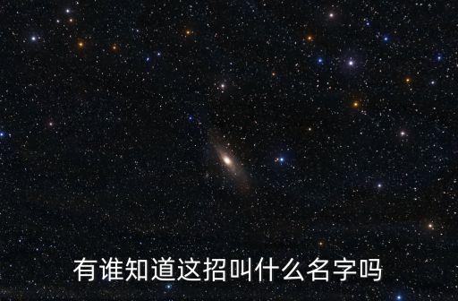 提手上勢，有誰知道這招叫什么名字嗎