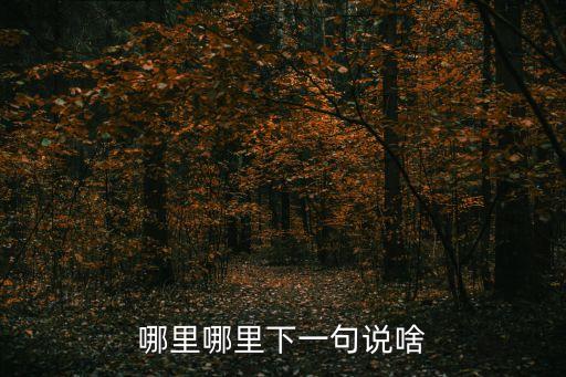 哪里哪里下一句說啥