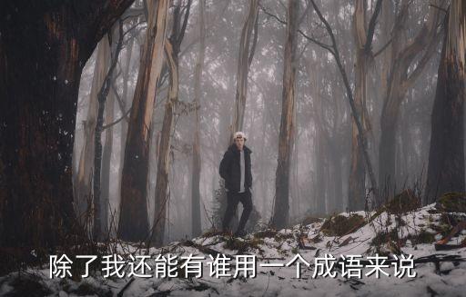 除了我還能有誰用一個成語來說