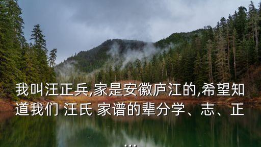 我叫汪正兵,家是安徽廬江的,希望知道我們 汪氏 家譜的輩分學、志、正...