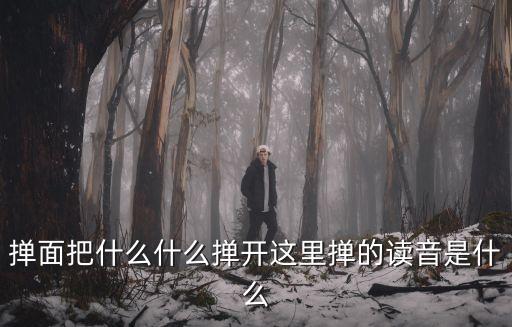 撣怎么讀，撣面把什么什么撣開這里撣的讀音是什么
