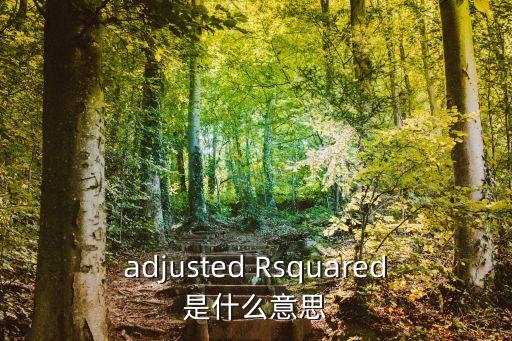 adjusted，adjusted Rsquared是什么意思