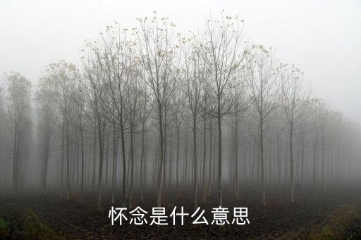 懷念是什么意思，懷念是什么意思
