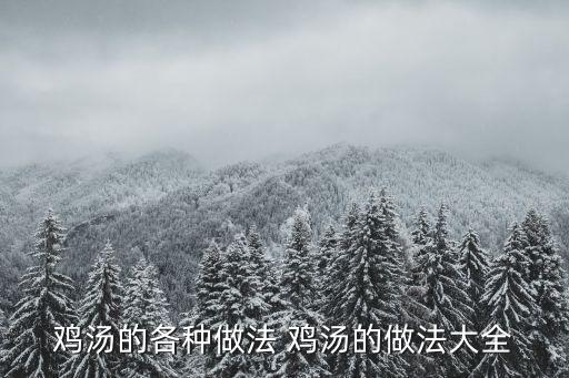 雞湯的各種做法 雞湯的做法大全