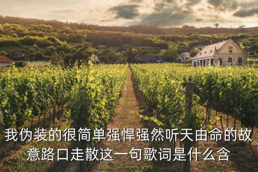 聽天由命的意思，我偽裝的很簡單強悍強然聽天由命的故意路口走散這一句歌詞是什么含