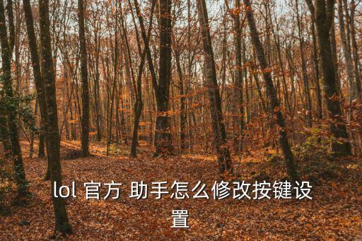 lol官方助手,tik推出助手服務讓玩家更方便玩英雄聯(lián)盟