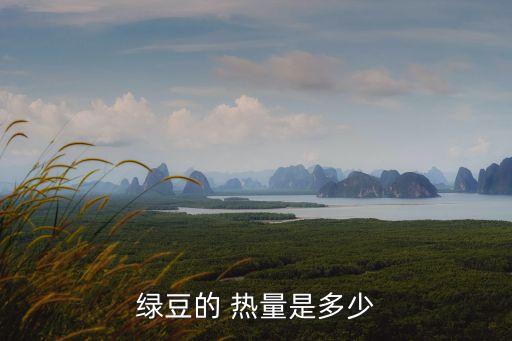 綠豆湯熱量,喝綠豆湯會導(dǎo)致腸胃不適或腹瀉