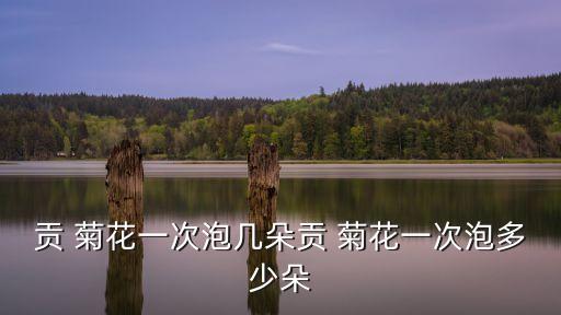 貢菊花,中國四大名菊之一:菊花茶口感清苦微苦