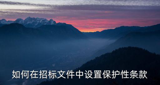 如何在招標文件中設置保護性條款