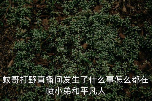 蚊哥，蚊哥葬禮是誰主持