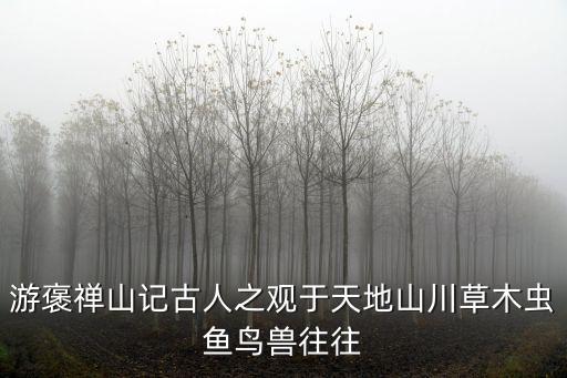 游褒禪山記教案，游褒禪山記古人之觀于天地山川草木蟲魚鳥獸往往
