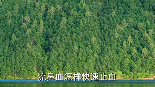 流鼻血怎樣快速止血