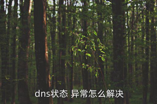  dns狀態 異常怎么解決