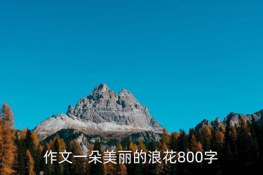 作文一朵美麗的浪花800字