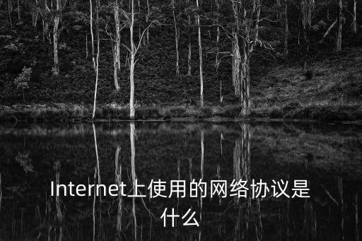 Internet上使用的網絡協議是什么