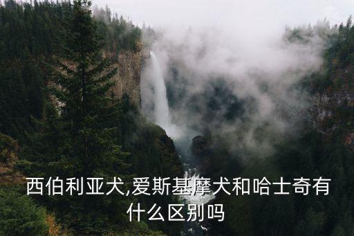 西伯利亞犬,愛斯基摩犬和哈士奇有什么區別嗎