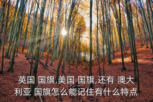 澳大利亞國旗圖片,澳洲國旗易認英國國旗象征聯邦領土