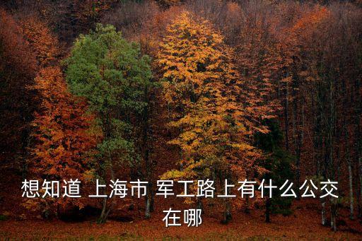 想知道 上海市 軍工路上有什么公交 在哪