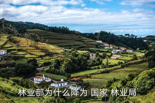 國家林業局,林業局并入農業部法律分析:不能只靠國家投資農業
