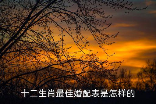 十二生肖最佳婚配表是怎樣的