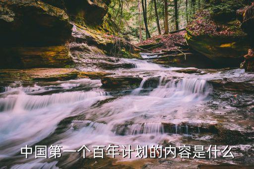 第一個(gè)百年奮斗目標(biāo)，中國(guó)第一個(gè)百年計(jì)劃的內(nèi)容是什么