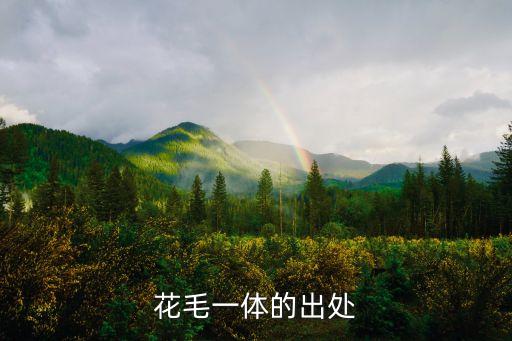 花毛一體，花毛一體的出處